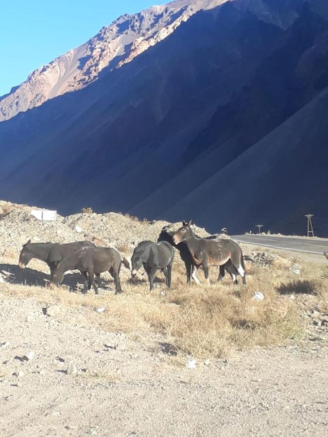 Altas Cumbres Penitentes Los Penitentes Exterior foto